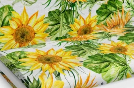 Where To Find The Best Women’s Sunflower Shirts Near Me
