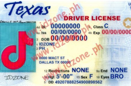 Unveiling The Dangers Of Fake ID Websites: A Comprehensive Insight