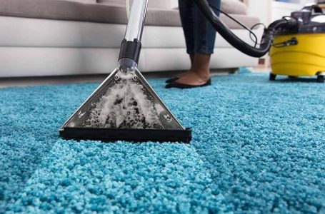 The Art of Carpet Care: Tips for a Clean and Inviting Home