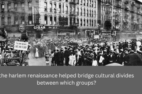 the harlem renaissance helped bridge cultural divides between which groups?