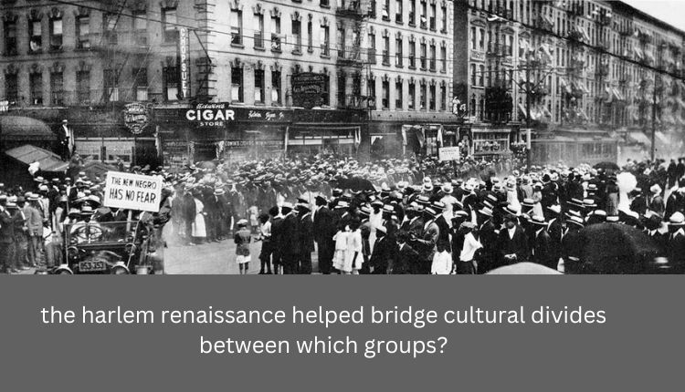 the harlem renaissance helped bridge cultural divides between which groups