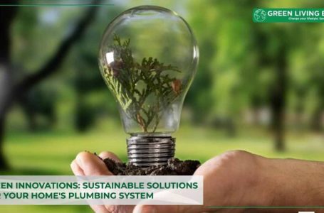 Eco-friendly Plumbing Solutions: A Step towards Sustainable Living