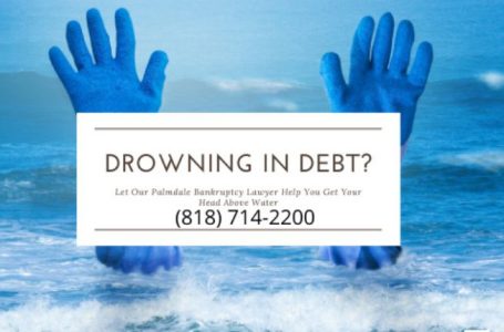 Chapter 7 Bankruptcy Lawyers: A Lifeline in a Sea of Debt