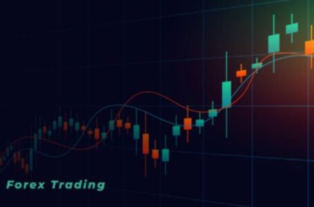 Risk Management Techniques for Forex Day Traders