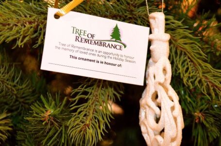 Honoring Lives and Memories: The Tree of Remembrance